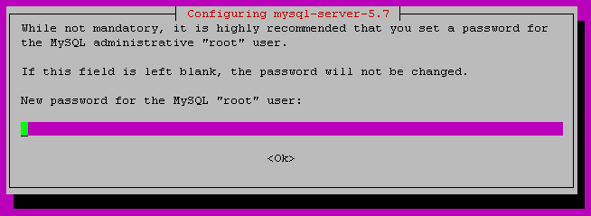 set-mysql-root-password